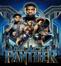 Black Panther (2018) (Hindi + English) Dual Audio MCU Hollywood Movie BluRay HD ESub